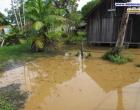 Governo do Pará garante repasse de um salário mínimo a famílias atingidas por enchentes e chuvas em todas as regiões | Portal Obidense