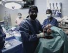 Cirurgia com coração de porco, nova era dos transplantes | Portal Obidense
