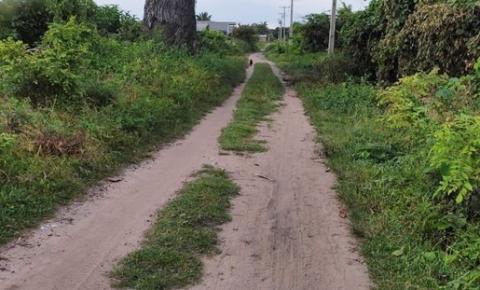 Ruas no bairro Cidade Nova em Curuá estão tomadas pelo mato | Portal Obidense